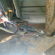 Before unscrewing the lamp housing, I find it easier to check for power underneath here first.